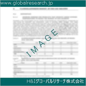 グローバルリサーチ調査資料のイメージ